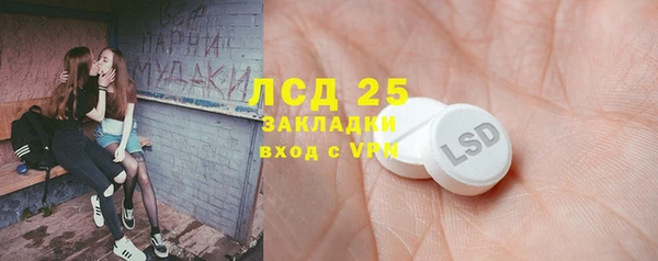 стаф Киренск