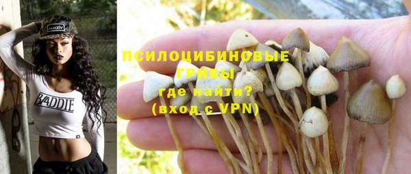 mix Саяногорск