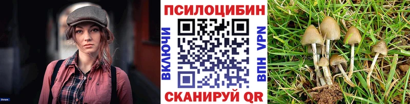 Галлюциногенные грибы мицелий  Кимовск 