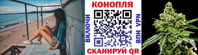 Шишки марихуана SATIVA & INDICA  OMG онион  Кимовск  закладка 